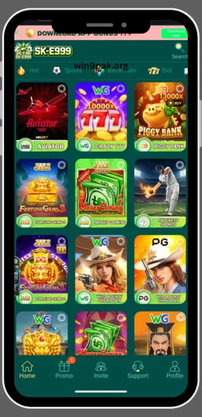 e999-game-interface